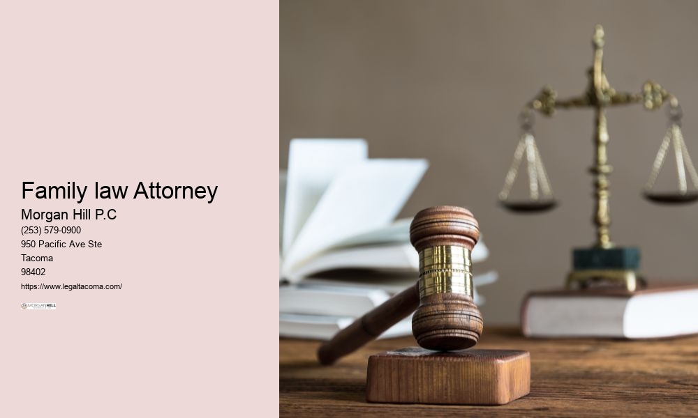 Family law Attorney